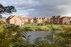 wharf view waterside 2 sm.jpg